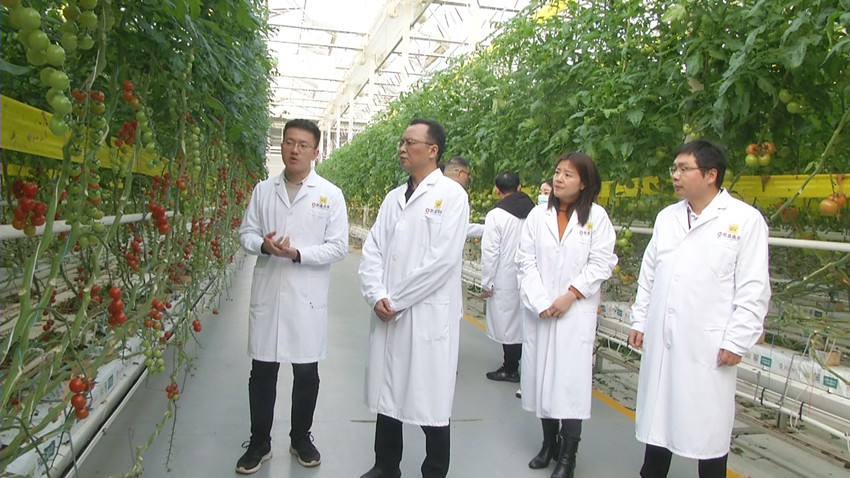 夯实中国式现代化的农业农村基础